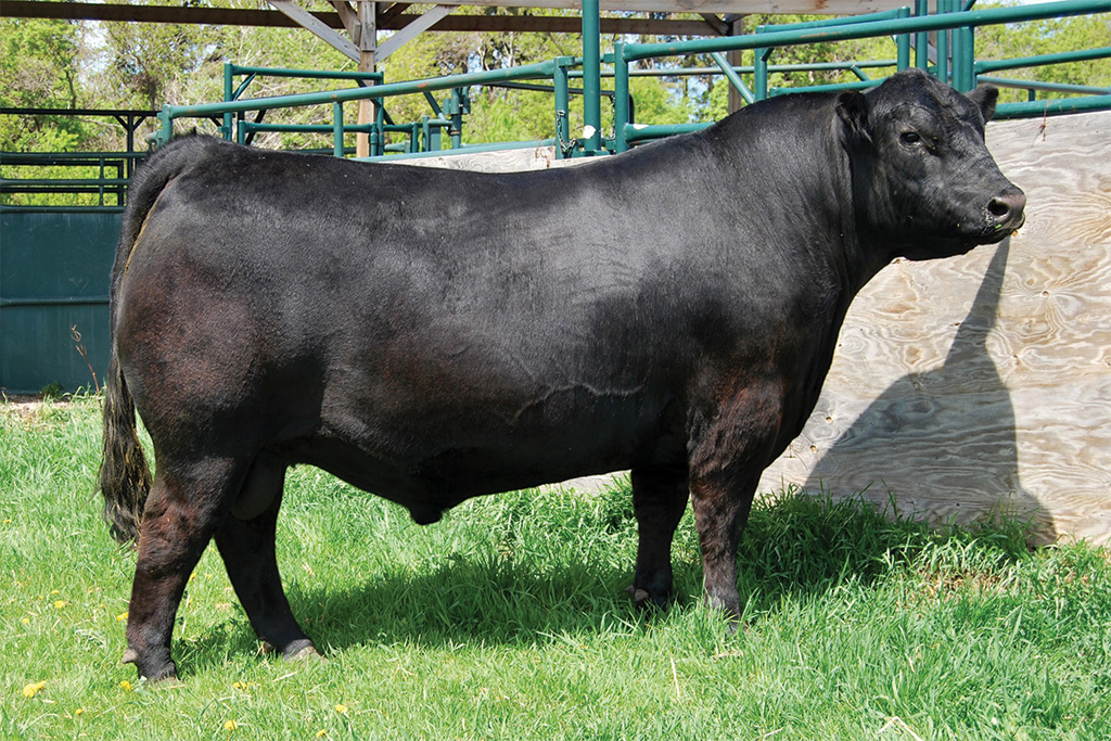 sire17